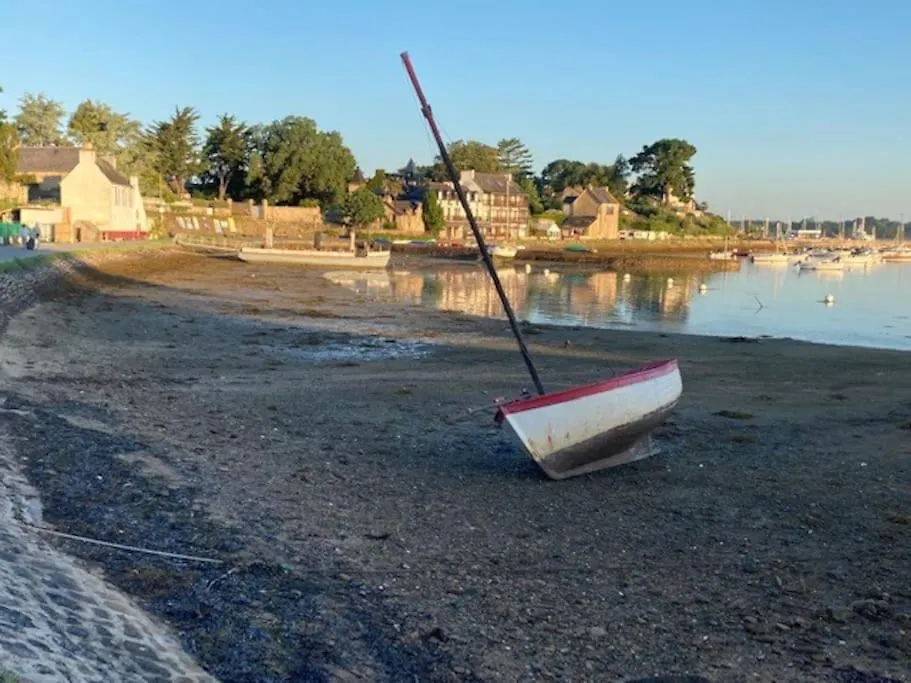 Une Pause Sous Les Palmiers - Ile Aux Moines Γαλλία