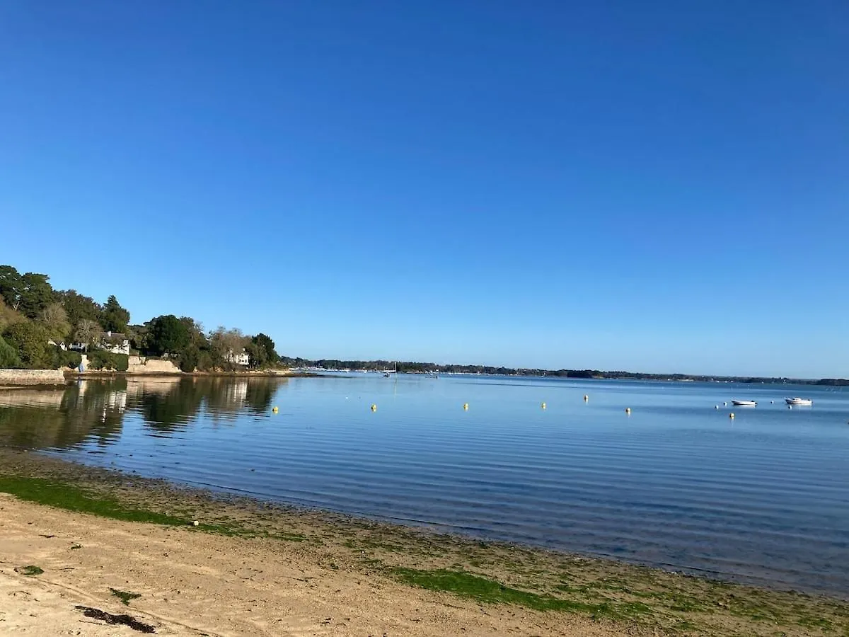 Une Pause Sous Les Palmiers - Ile Aux Moines
