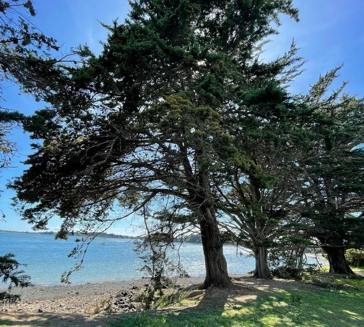 Une Pause Sous Les Palmiers - Ile Aux Moines 0*,