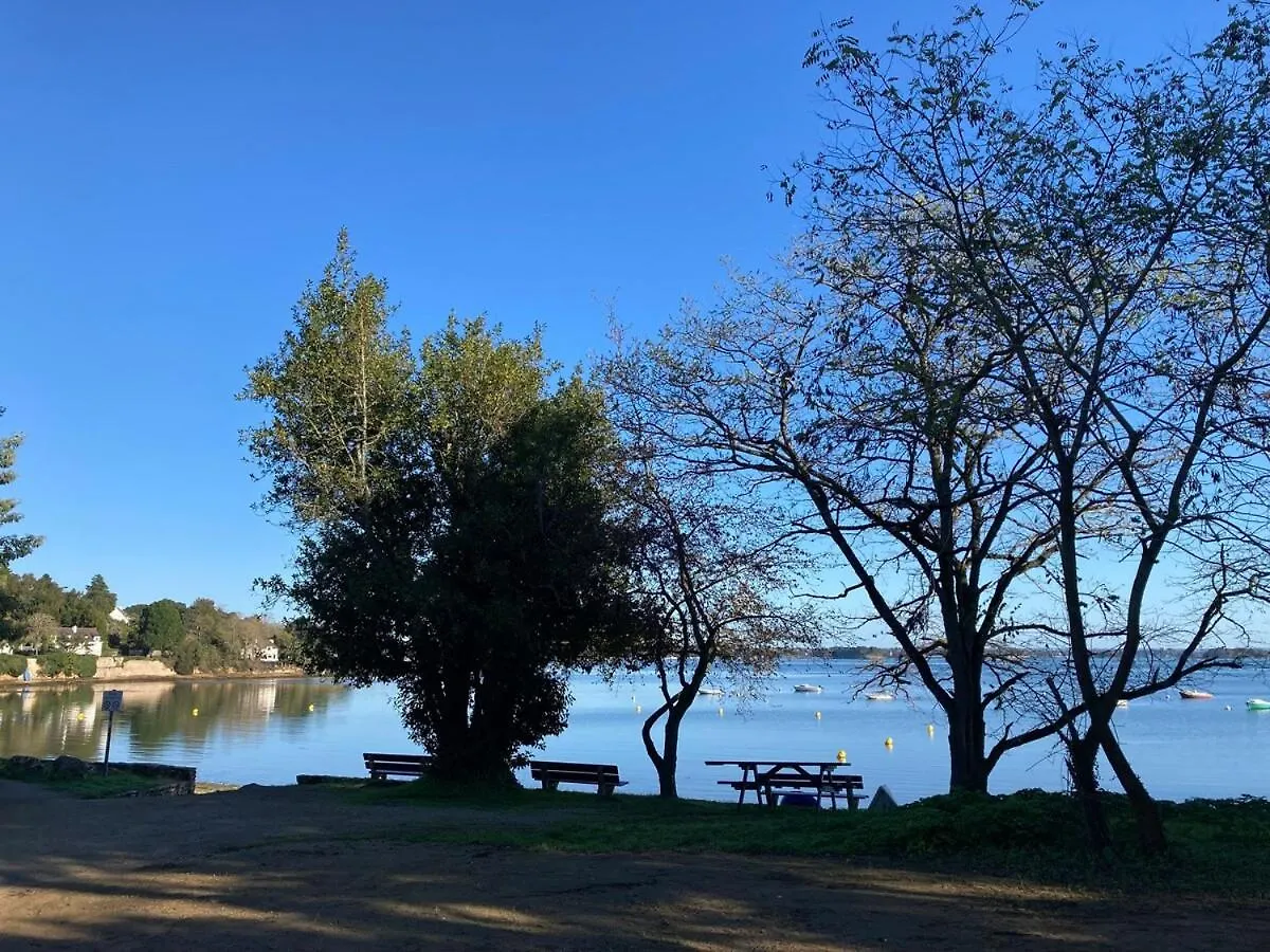 Une Pause Sous Les Palmiers - Ile Aux Moines Γαλλία