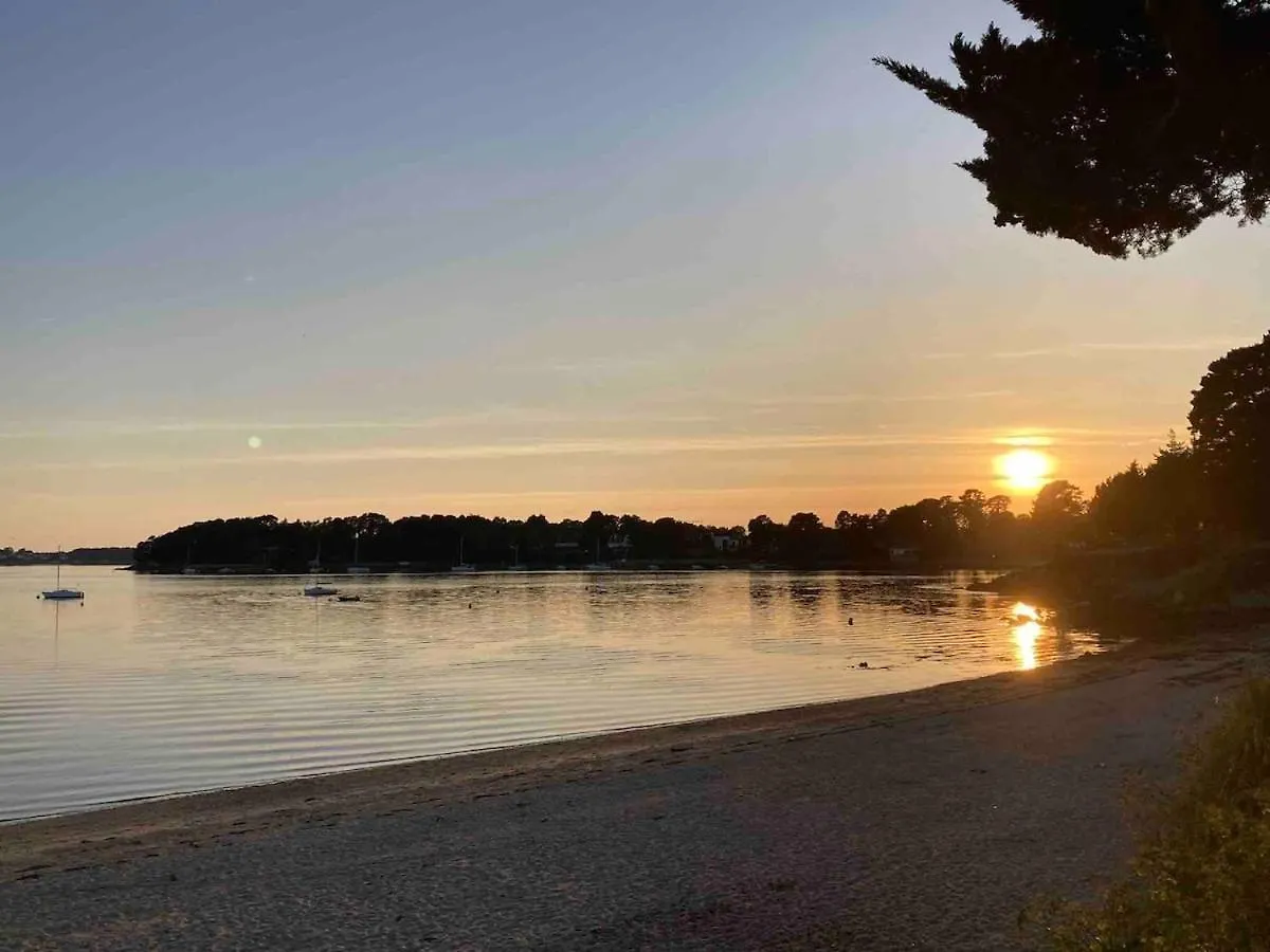 Une Pause Sous Les Palmiers - Ile Aux Moines 0*,  Γαλλία
